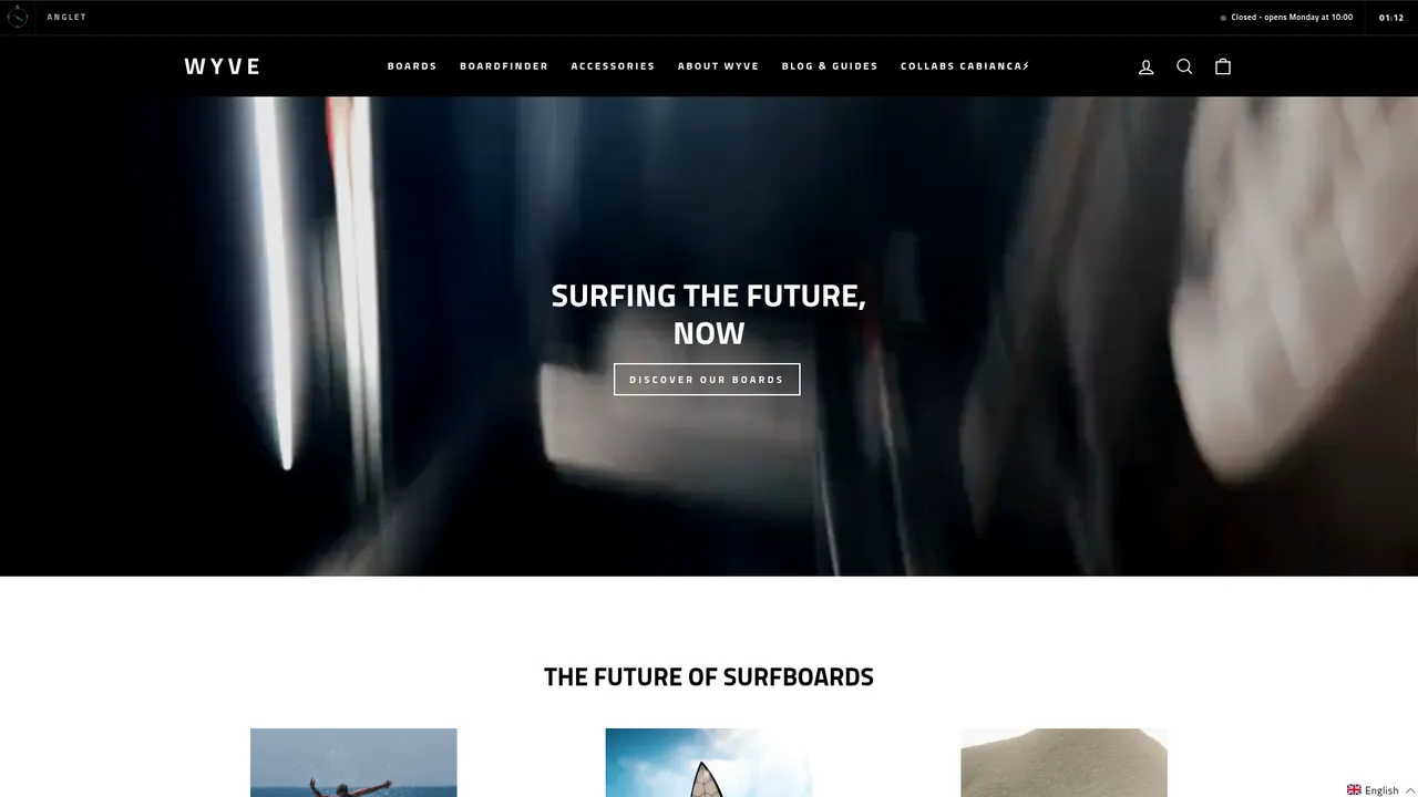 Aperçu du site WYVE