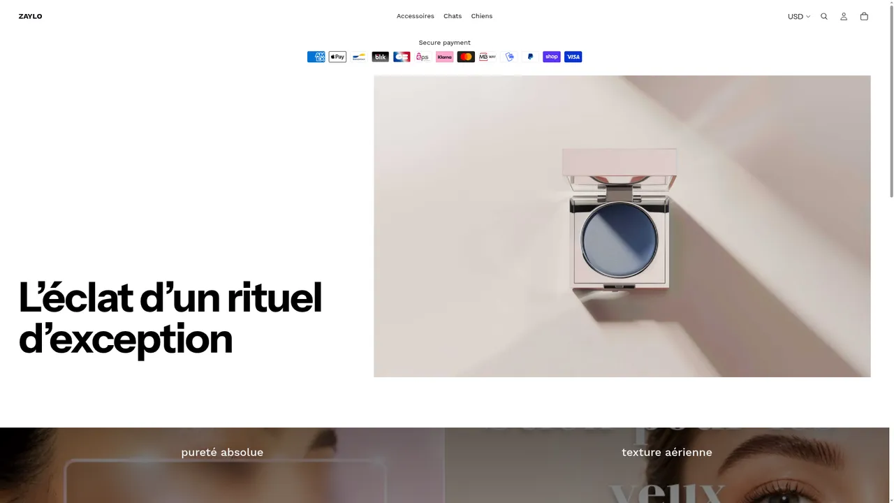 Screenshot de zaylo.fr