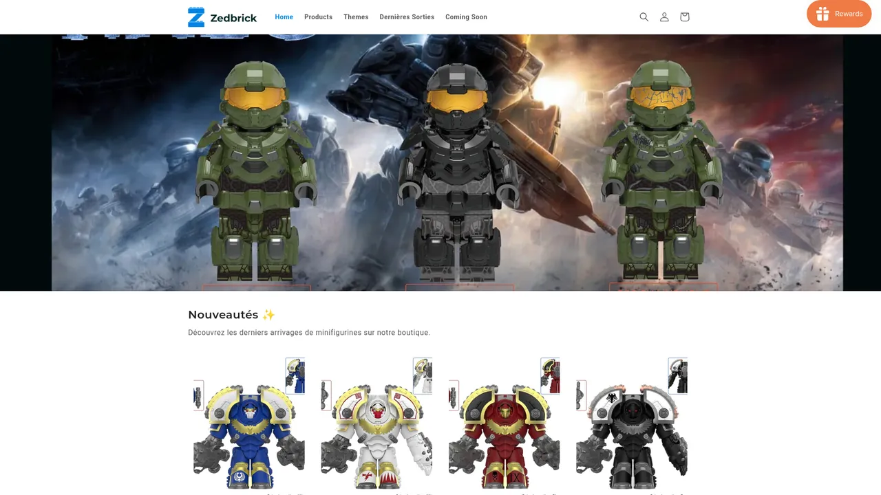 Aperçu du site ZedBrick