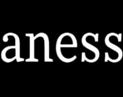 Logo aness