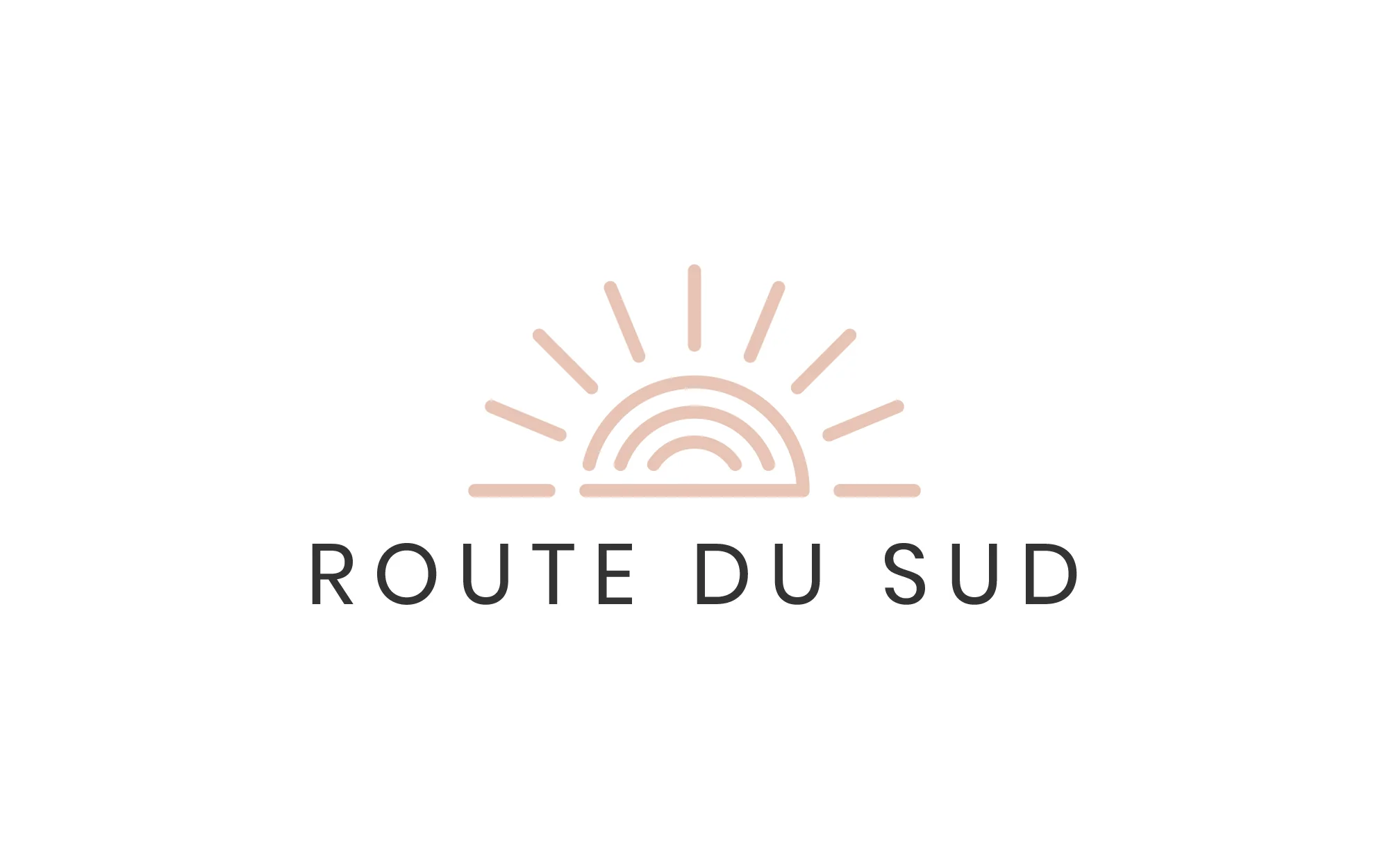 Logo boutiqueroutedusud.com