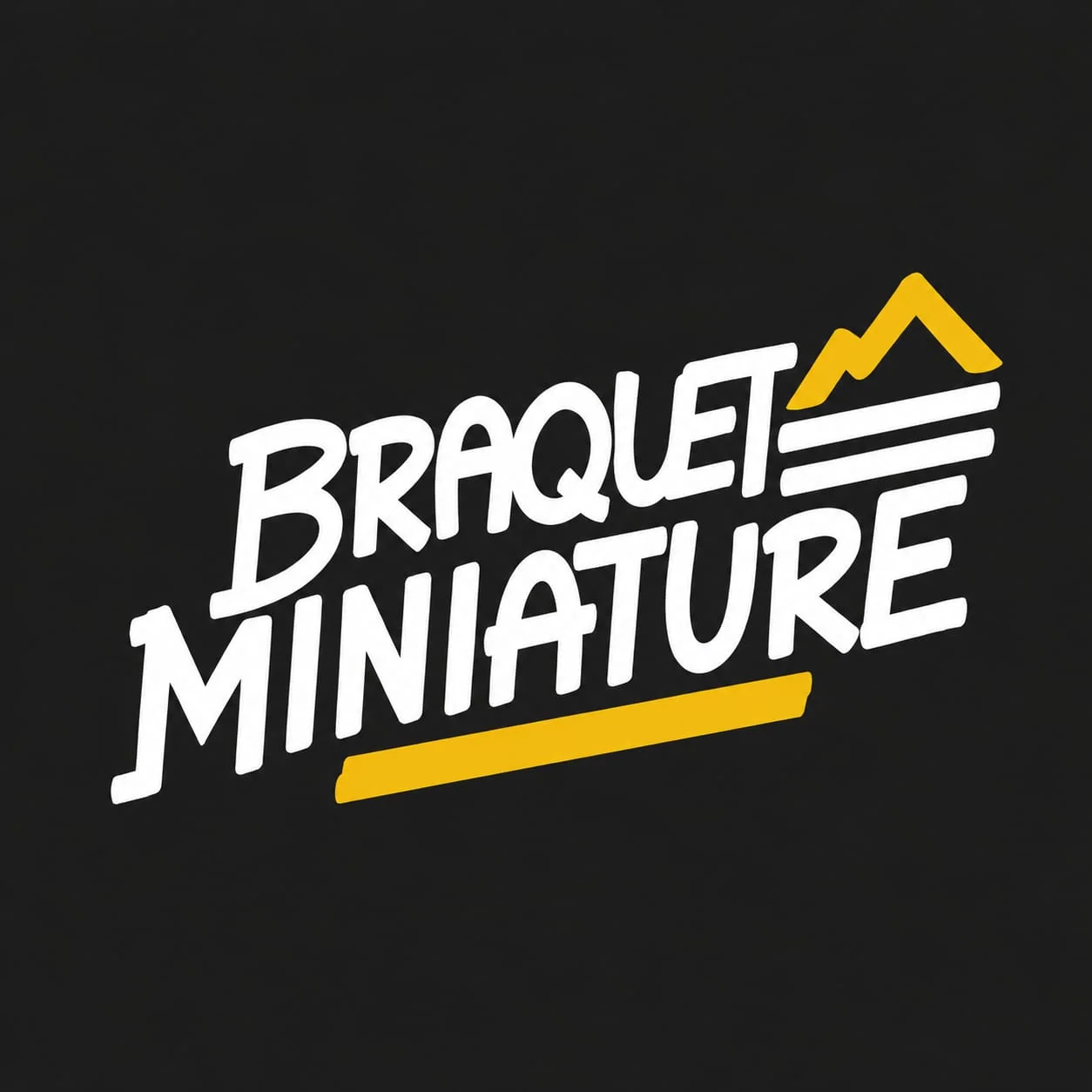 Logo Braquet Miniature