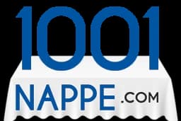 Logo 1001 Nappe