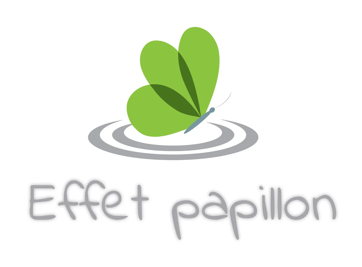 Logo effetpapillonboutique.com