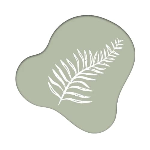 Logo emballez-vous