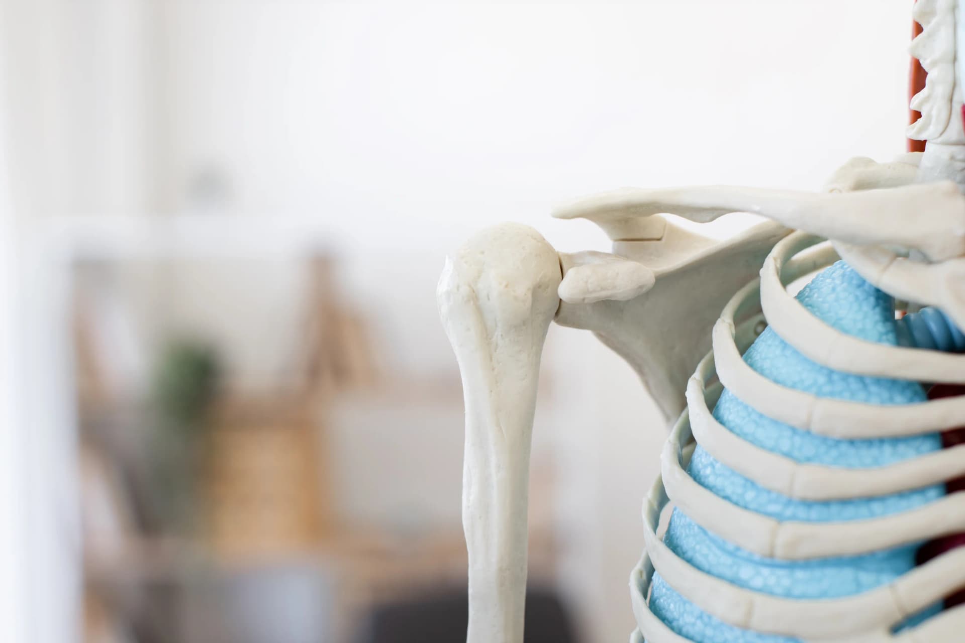 Logo Osteomax