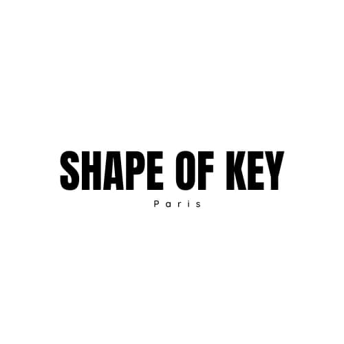 Logo SHAPE OF KEY