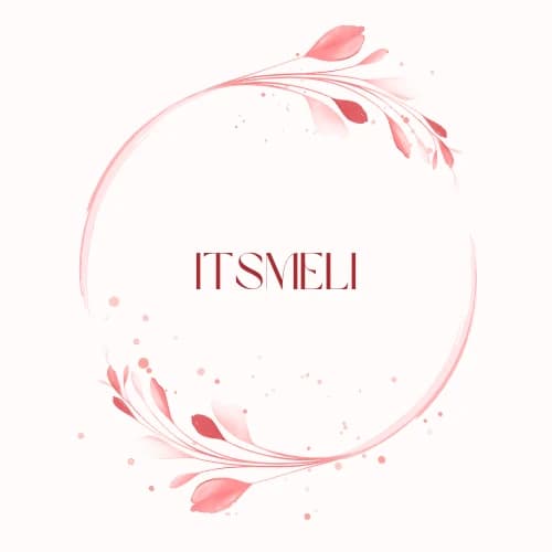 Logo itsmeli