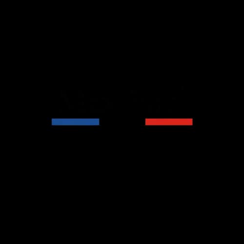 Logo Max Fuel