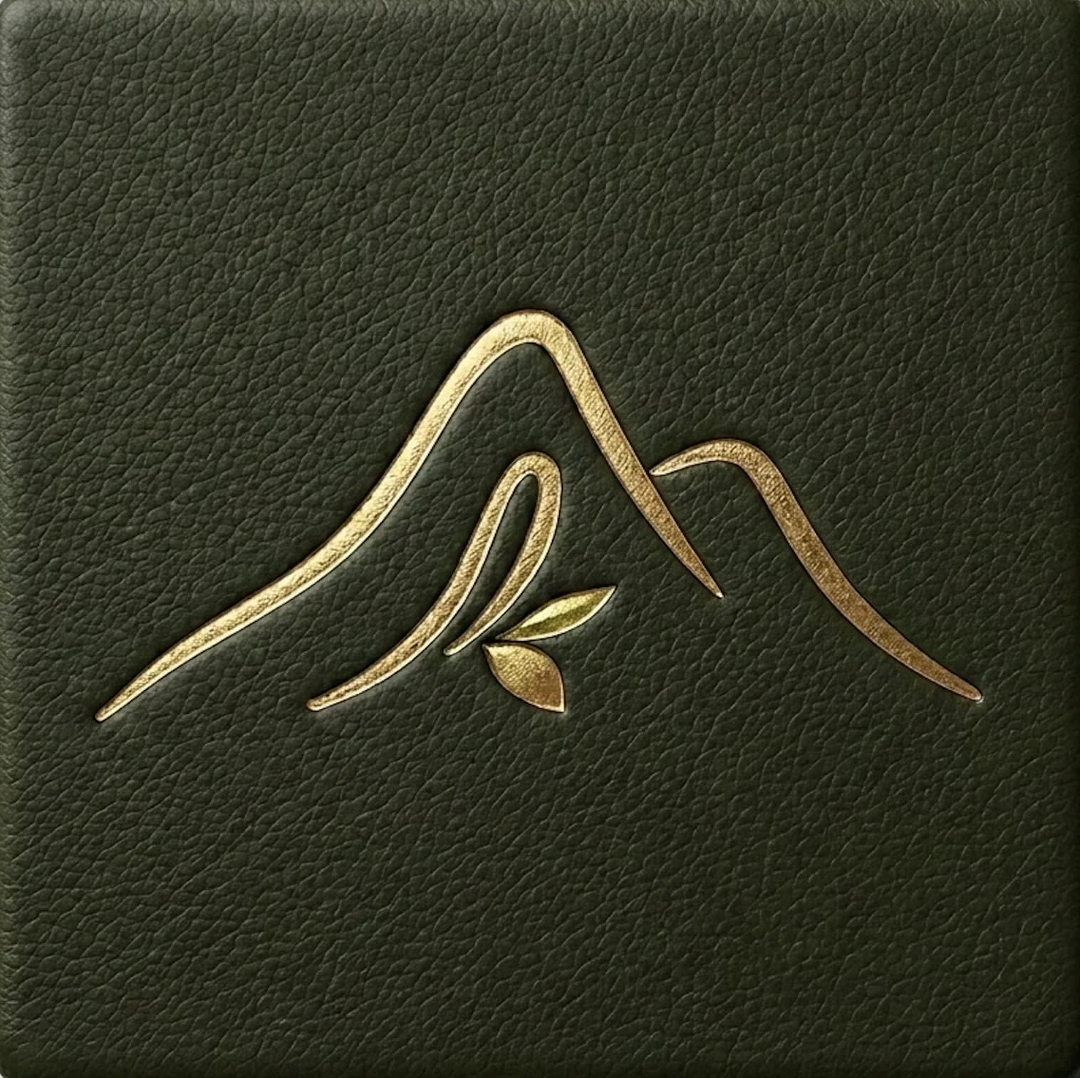 Logo Nomad Origins