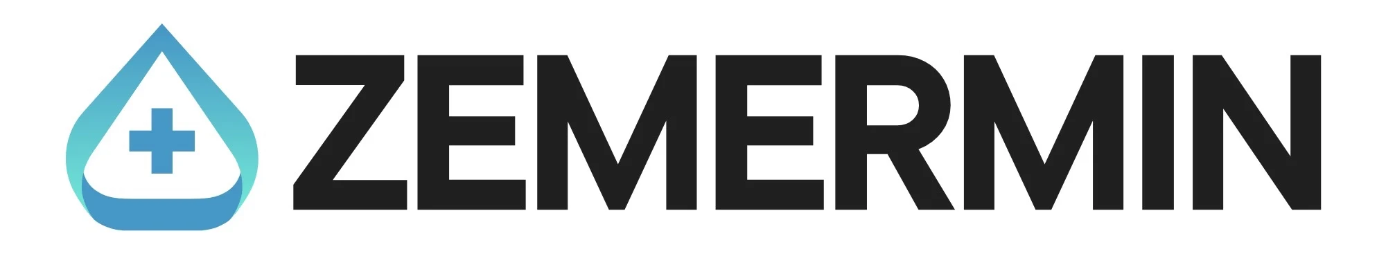 Logo Boutique Ecom